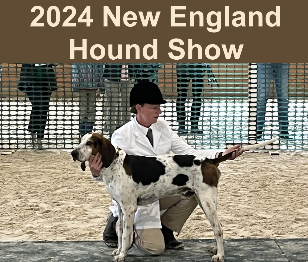 2024 New England Hound Show